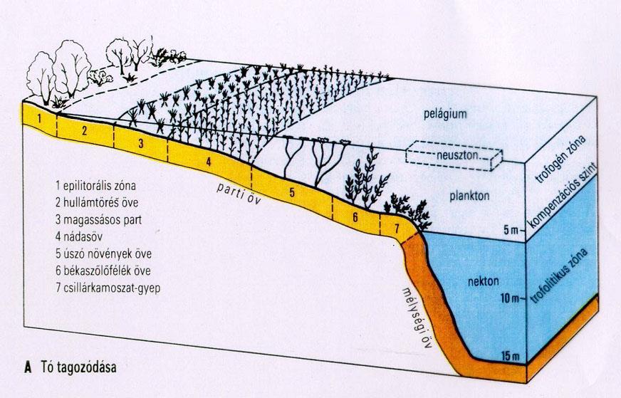 LITORÁLIS