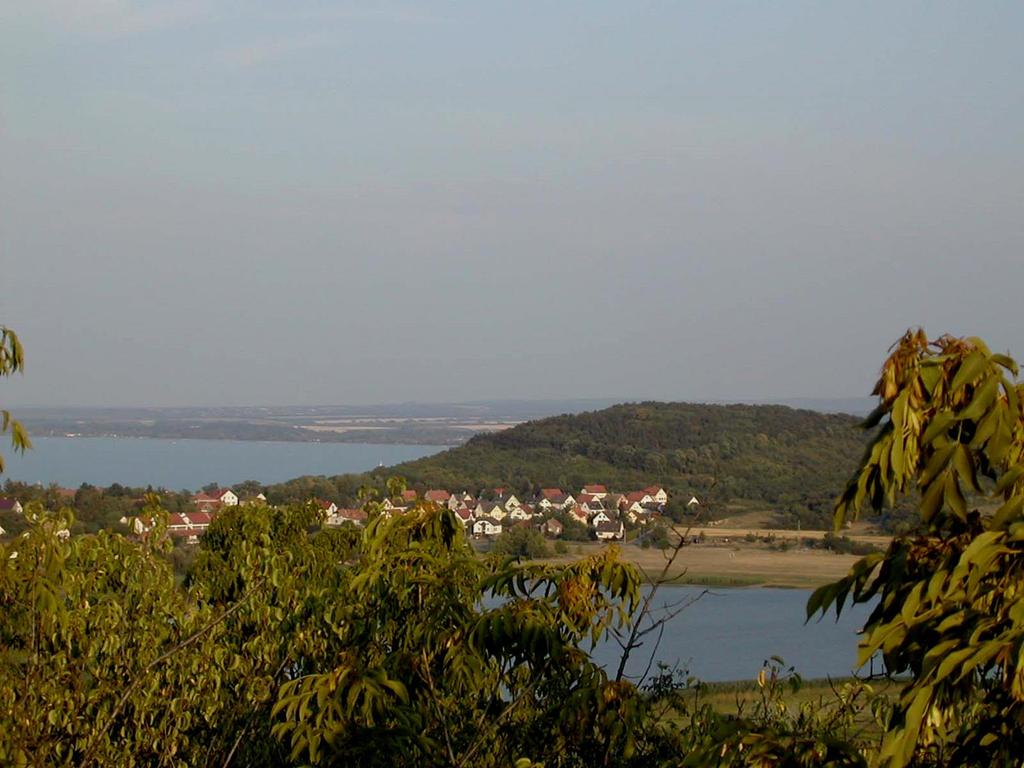 KÖSZÖNÖM A