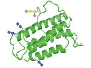Pharmaceutics (2010) eparin (1-5)