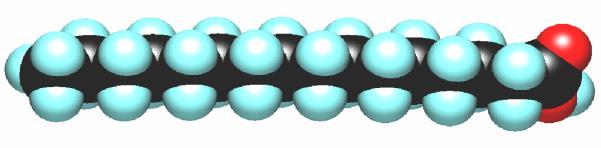 A. triacil-glicerin-észterek R = n n = 11, 13,