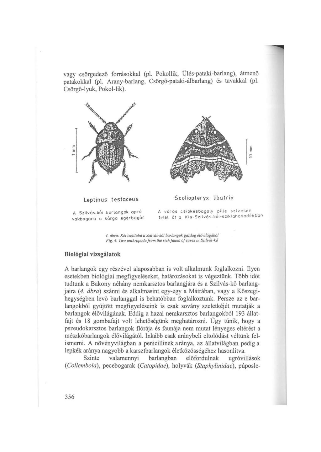 vagy csörgedező forrásokkal (pl. Pokollik, Ülés-pataki-barlang), átmenő patakokkal (pl. Arany-barlang, Csörgő-pataki - álbarlang) és tavakkal (pl. Csörgő-lyuk, Pokol-lik).