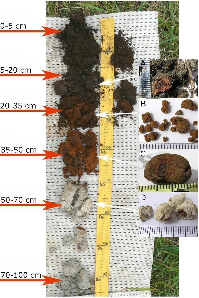 Minták Ismert összetételű minták -Zettlitz kaolin -IMB montmorillonit -analitikai kvarchomok -goethit A B Talajminták: lápos réti talaj -szerves (A)