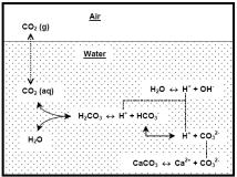 egyensúly fenntartásához szükséges CO 2 az ún. járulékos, vagy tartozékos CO 2. Az egyensúlyinál több CO 2 az ún. agresszív CO 2. A járulékos és az agresszív CO 2 együttes mennyisége a szabad CO 2.