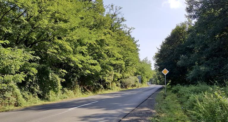 A 23-as út északi oldalán a belterület szélén egy löszös-homokos domboldal húzódik, amelyen gyomos száraz gyep (OC, TDO: 2) húzódik végig, a déli oldalban az út mellett akácos fasorokkal (S7, TDO: