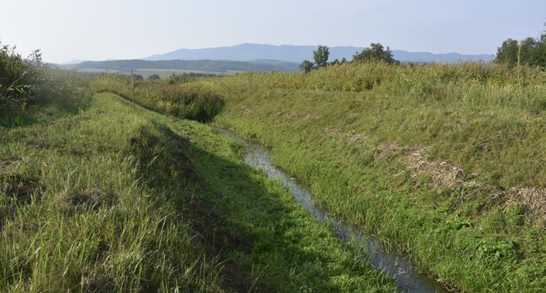 Az út a 1+230 km szelvénynél keresztezi a Zagyvát (U8m, TDO: 2), amelynek medrét nádas tölti ki.
