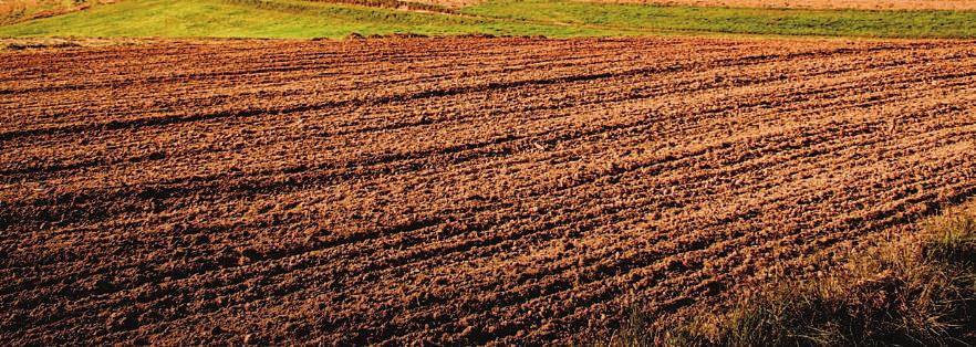 Meghívó Az AGRO.bio Hungary Kft., a Syngenta Kft., a Yara Hungária, a Vaderstad Kft.