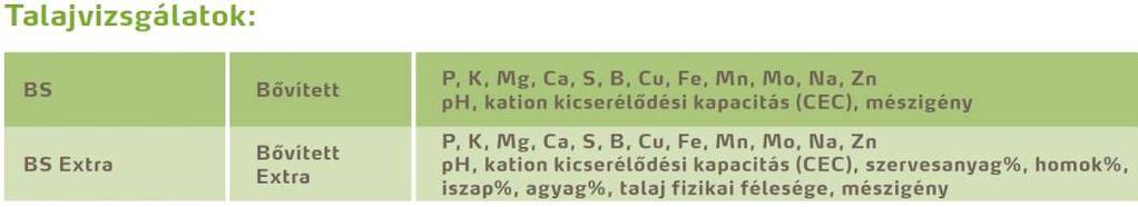 Vizsgálati típusok: