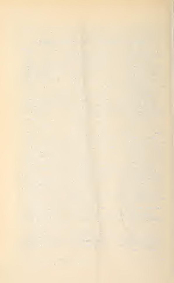 dauriensis : Biodiversity Heritage Library http://www.biodiversitylibrary.org/; www.zobodat.at Index. Nomina specierum varietatumque Hesperidis Hesperis adenocarpa 267 372. var. adenopoda 2(58 374 II 13.