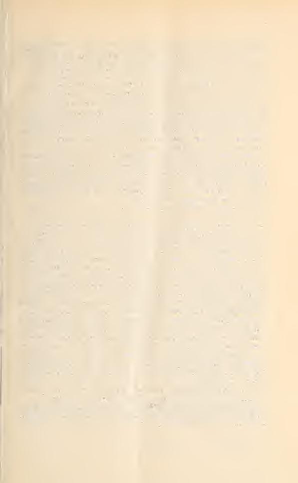 matronalis ; Biodiversity Heritage Library http://www.biodiversitylibrary.org/; www.zobodat.at 19 H. petúnia Ten. in Rchb. FI. Germ. exeurs. p. 686 Dollin. Emun. 12 1842. non DC. H. matronalis < ) qlabriuscula Scmm Sert.