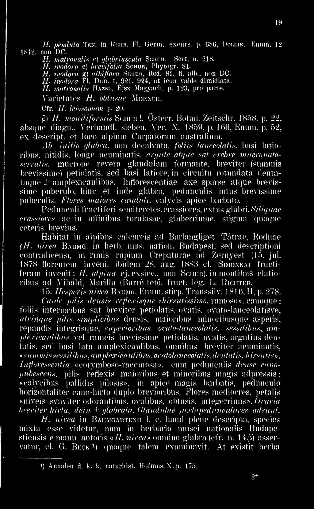 foliis lanceo/alis basi latioribus nitidis longe acuminatis argute atque sat crebre mncronatoserratis muerone revera glandulam formán te breviter (summis brevissime) jtetiolatis séd basi latiore in