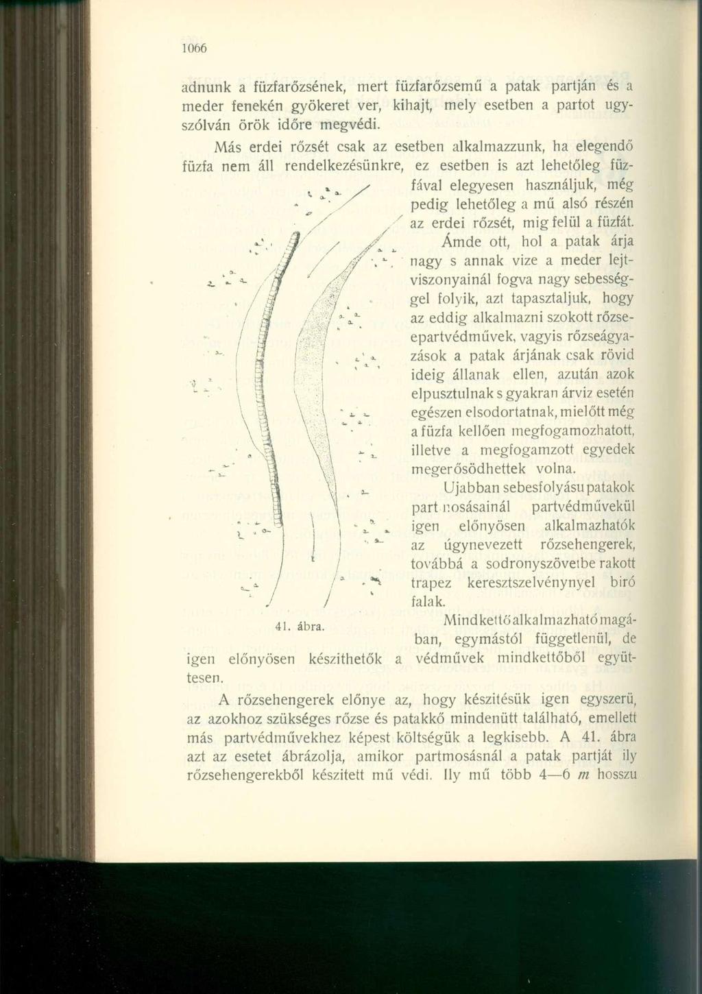 adnunk a füzfarőzsének, mert füzfarőzsemű a patak partján és a meder fenekén gyökeret ver, kihajt, mely esetben a partot úgyszólván örök időre megvédi.