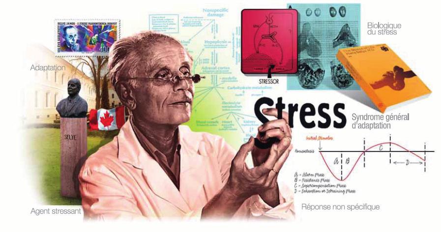 Nem az a stressz, ami történik veled, hanem az, ahogyan reagálsz rá bizonyos folyamatra (pl. gyulladás, nekrózis, trombózis, vérzés); 2.