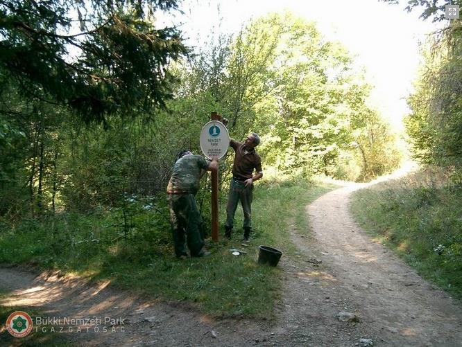 Az állami természetvédelmi őr jogosultságai, feladatai és kötelességei Az állami természetvédelmi őr a feladata ellátása során köteles: A régészeti lelőhelyek és leletek őrzése, megóvása,