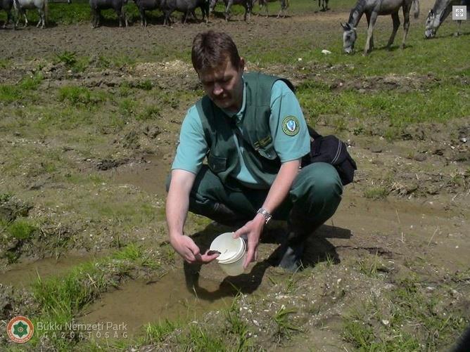 Kényszerítő eszköz alkalmazása Természetvédelmi Őrszolgálat Az állami természetvédelmi őr jogosultságai, feladatai és kötelességei Az állami természetvédelmi őr a biztonságot veszélyeztető