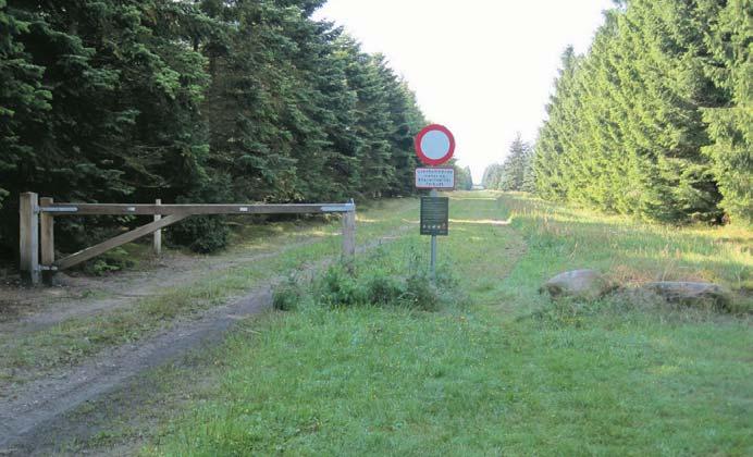 Teljesen nyilvánvaló, hogy az erdõgazdálkodás célja nem a jövedelemtermelés, hanem maga az erdõ és nem utolsósorban a vadászat.