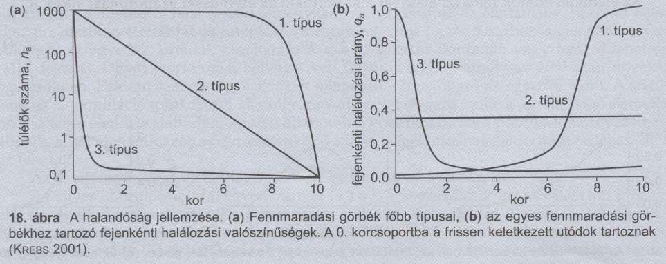 Túlélési görbe 1. típus jelentős mortalitás idős korban (pl. ember) 2.