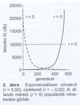 Populációnövekedési modellek Az exponenciális növekedés/csökkenés várható, ha egyedenkénti növekedési ráta (r) állandó és