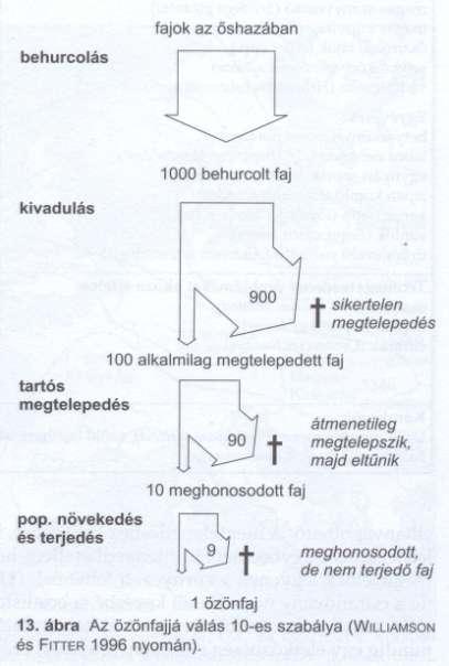 (idegen fajok) Pl.