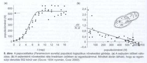 Logisztikus modell Implicit modell: a szabályozó tényezők dinamikáját nem