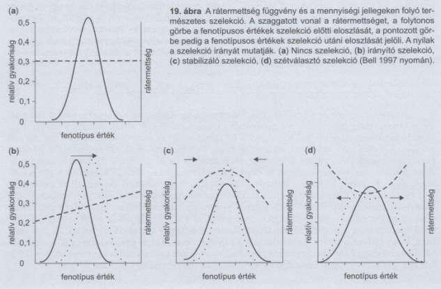 Természetes szelekció révén ha a fenotípus és a genotípus között korreláció, kapcsolat van.