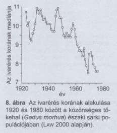 alatt is jelentős