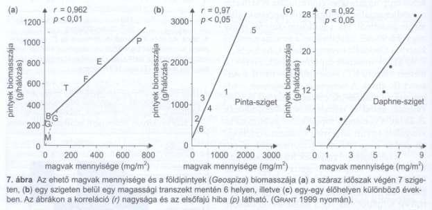 szigeten együtt élő pintyfajok közössége -