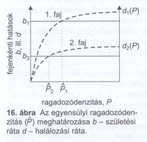 Versengés kimenetele a ragadozó/parazita elkerülési hatékonyságtól függő esetekben Ugyanazon ragadozó faj által szabályozott két