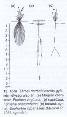 Együttélést befolyásoló tényezők