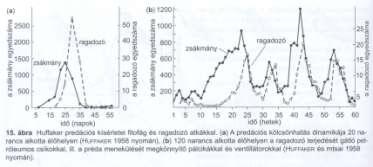 Stabilitás növekszik: Táplálék hálózat stabilitás - Ragadozó terjedését csökkentő, a zsákmánynak menedéket adó nagyobb