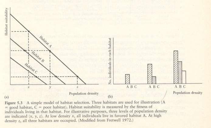 Habitat szelekció Fretwell (1972) Ideális szabadeloszlás modellje három különböző minőségű élőhely esetén Vízszintes tengely a populáció sűrűsége, Függőleges