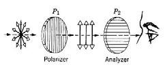 hullámok polarizálása: Elektromágneses