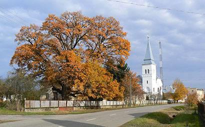 A település első temploma 1786-ban épült, amelynek már harangtornya is volt, az építtető Petri Pethry Sándor.