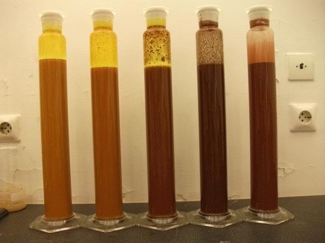 Ülepedési vizsgálatok (sósav adagolás után) 28 porítást követően 0,8 mm-es szitálás minden kezeléshez 100 g bemérése kezelések (HCl hígítási sor): 1