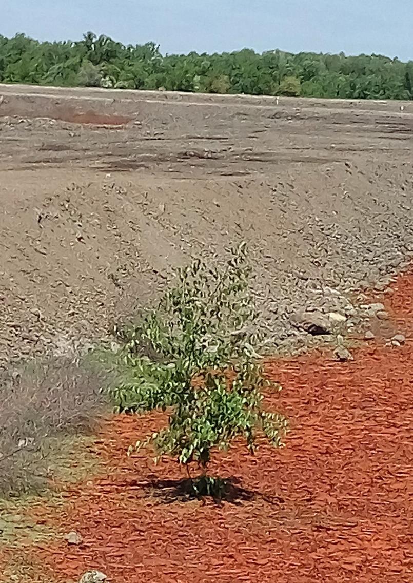 Miért foglalkozunk vele? 7 Partnereink: Az Envirotis Holding Zrt.
