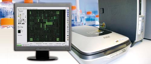 ELISA test az a specifikus étel antigének elleni IgG-Ab kimutatása. Nutr Clin Pract.