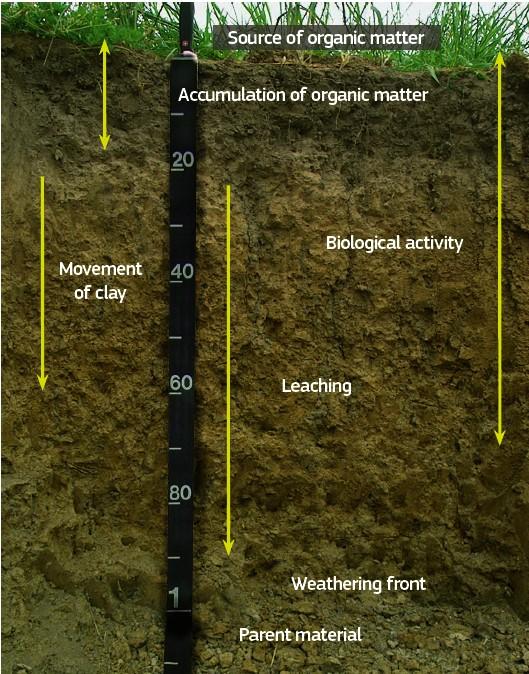 Orgiazzi, A. et al. (Eds.), 2016, Global Soil Biodiversity Atlas.