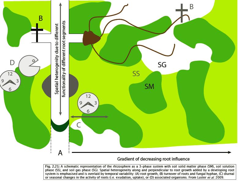Jeffery S. et al.(eds.), 2010. European Atlas of Soil Biodiversity. European Commission, Publ.