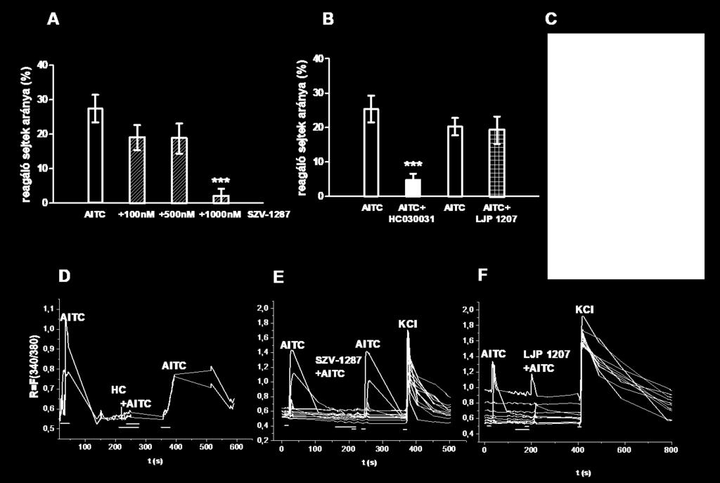 AITC; Fisher-egzakt teszt), n=44 113 sejt/csoport. (C) Fura-2-AM festékkel feltöltött TRG neuron tenyészet képei intracelluláris Ca 2+ -mérés során, AITC kezelés előtt (felül) és után (alul).
