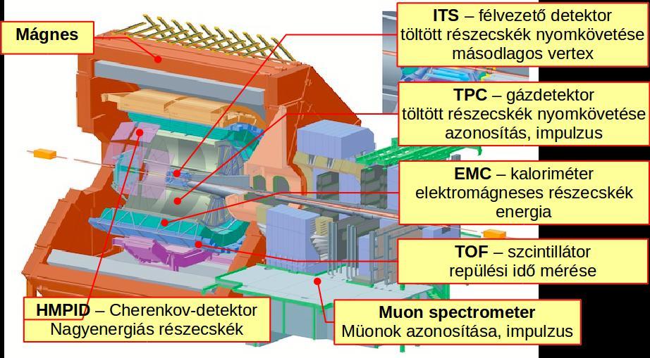 BME magfizika 2017/05/10 Vértesi Róbert - Nagyenergiás magfizika 16 Az ALICE kísérlet