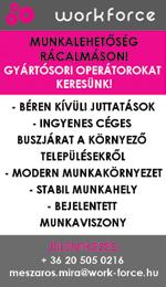 műszaki állapotának figyelemmel kísérése,esetleges hibaelhárítás Berendezések,szerszámok és létesítményekállagának megőrzése Az álláshoz tartozó elvárások: Minimum szakmunkás vagy középfokú