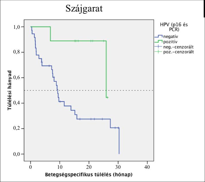 12. ábra: Kaplan-Meier túlélési görbe: HPV-negatív (PCR és p16-státusz alapján, kék) és HPV - pozitív (zöld) daganattal rendelkező betegek esetében a szájgarati régióban 5.1.8 A dohányzás etiológiai