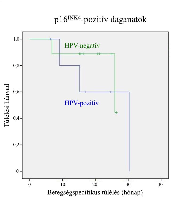 16. táblázat: Dohányzás és HPV-státusz közötti összefüggés p16 INK4 -pozitív betegek esetében Dohányzási szokások Soha Régen Jelenleg is p16 INK4 + HPV PCR - 7% 25,3% 67,7% HPV PCR + 55,6% 44,4% 0,0%