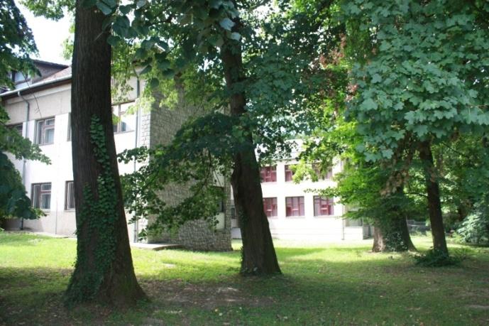 Mezőgazdasági