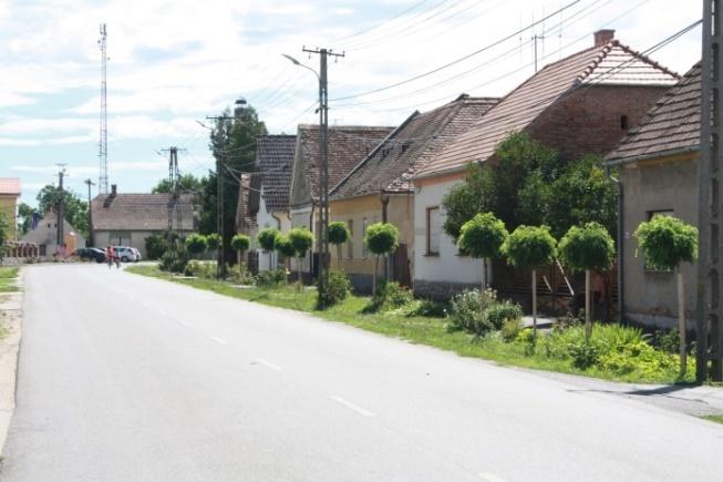 41 A Dózsa György utca északi oldala vegyes növenyesítésű képet mutat.
