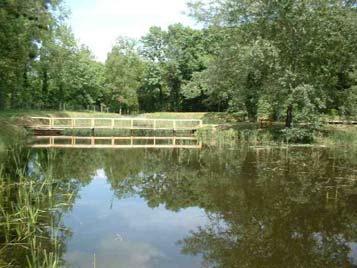 Temetői