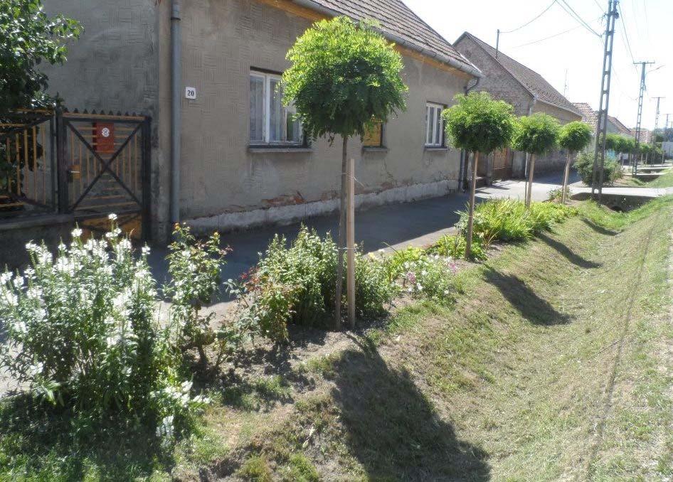 70 ZÖLDFELÜLETEK KIALAKÍTÁSA Gyepes útszegély