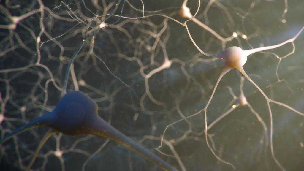 A ROHAMINDÍTÓ ZÓNA MEGHATÁROZÁSA EPILEPSZIA HÁLÓZAT& AZ