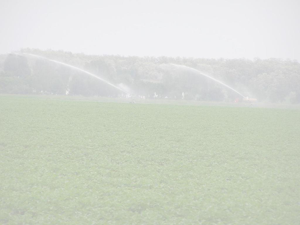 A hazai öntözés áttekintése Jövőkép Szántóföld - jó talajon, ha a víz a tábla szélén rendelkezésre áll tőzsdei termények esetében is.