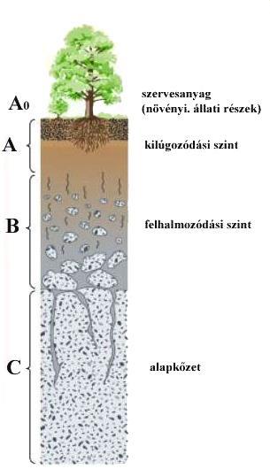 5.2. ábra: A talajszelvények jellemző genetikai szintjei és jelölésük A-szint -neknevezzük általában a talajképződés folyamán kialakult jellegzetes réteget.