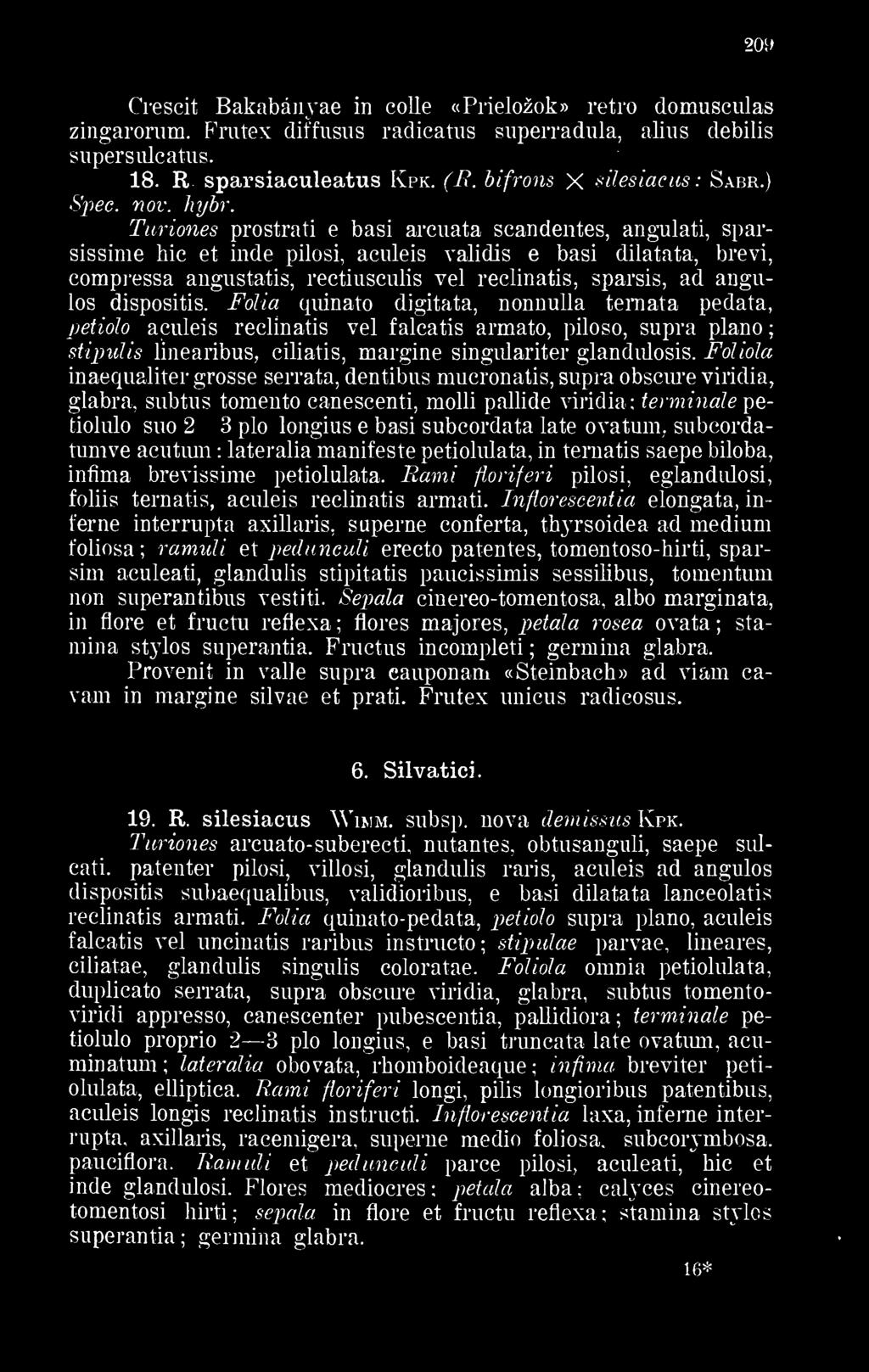 s prostrati e basi arcuata scandentes, angulati, sparsissime hic et inde pilosi, aculeis validis e basi dilatata, brevi, compressa angustatis, rectiusculis vei reclinatis, sparsis, ad angolos
